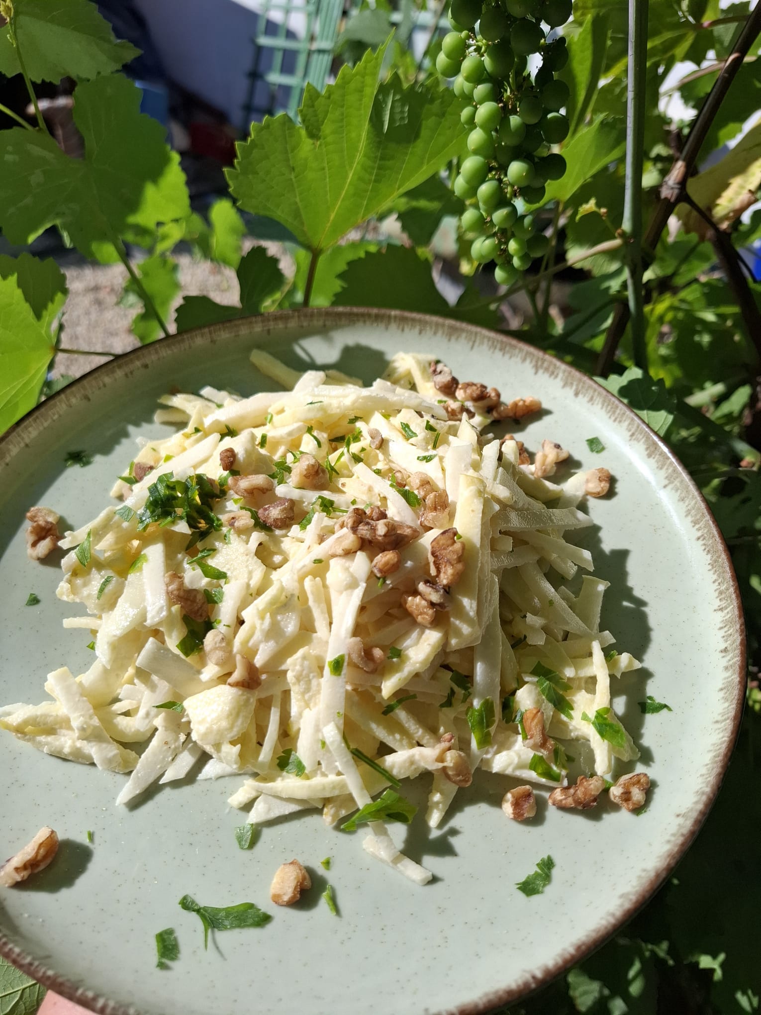 Salata gulii mar