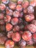 Gal prune dobrogea