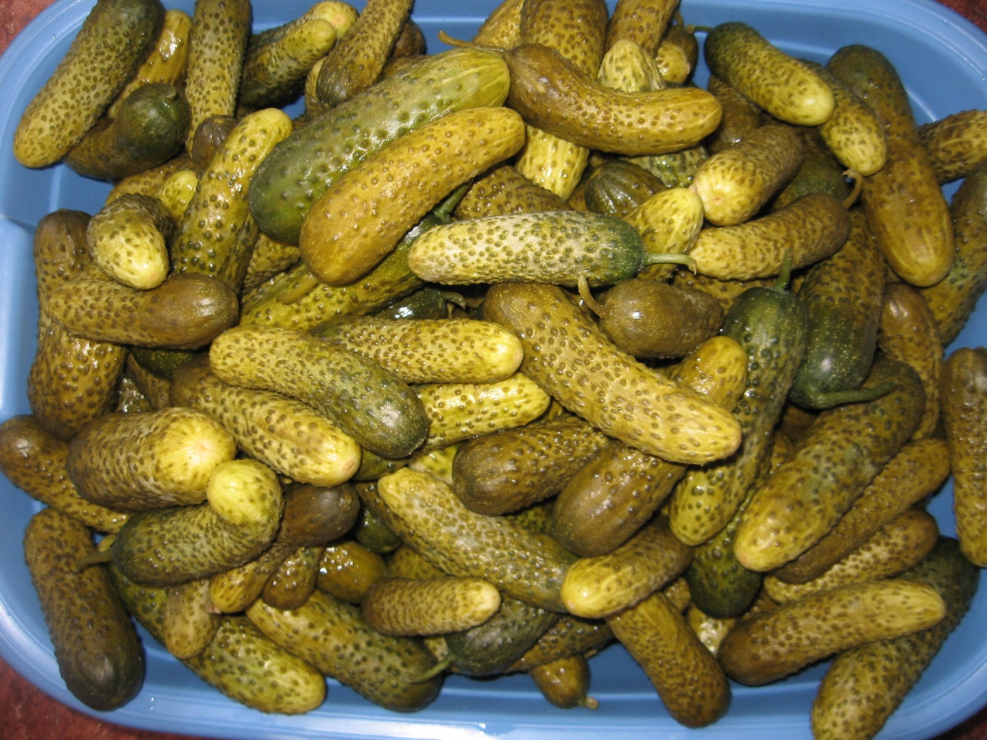 Castraveti murati