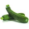 Gal zucchini verde